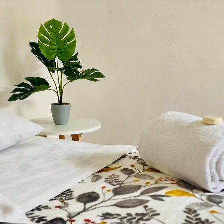 Casa Del Centro Bed and Breakfast Morelia Buitenkant foto