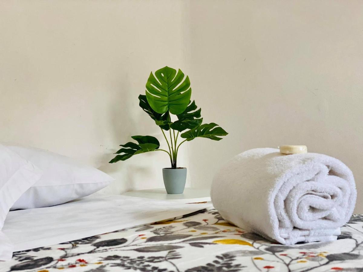Casa Del Centro Bed and Breakfast Morelia Buitenkant foto
